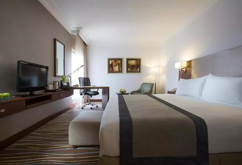 Fotos del hotel Holiday Inn Abu Dhabi Downtown, An Ihg:  14