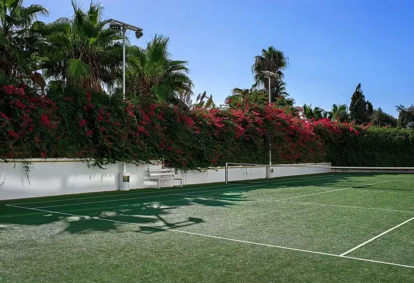 Fotos del hotel Grecian Sands:  4