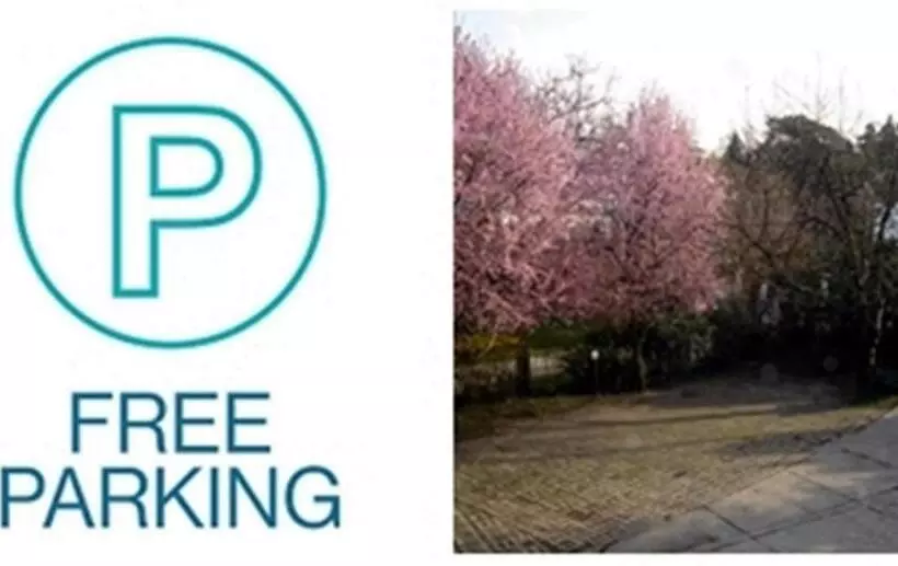 Fotos del hotel Beatrix:  6