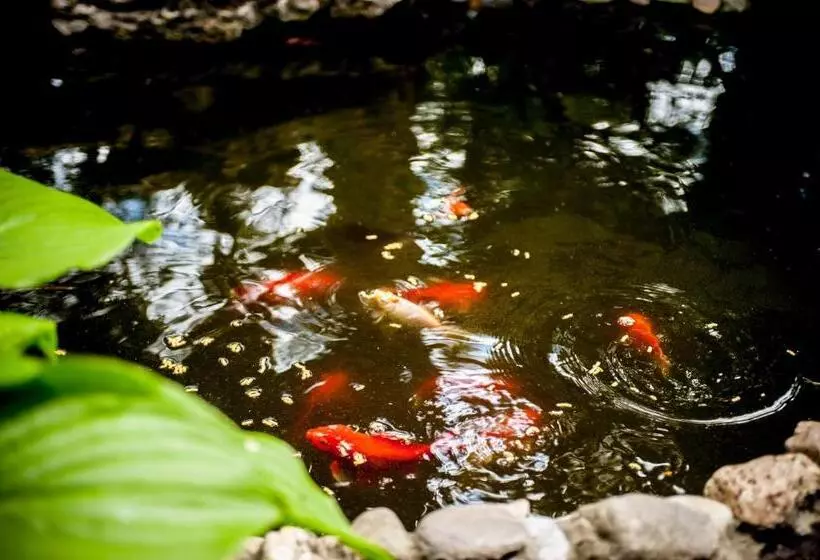 Fotos del hotel Beatrix:  12