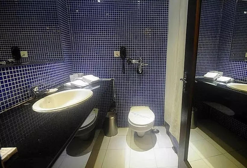 Fotos del hotel Jaipur Palace:  7