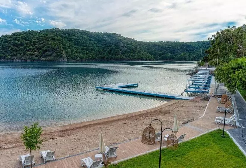 Fotos del hotel Club Hotel Meri:  19