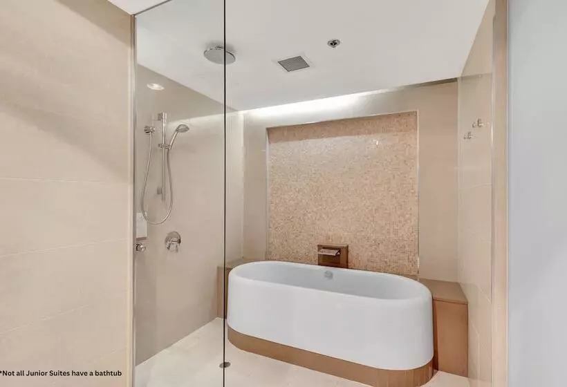 Fotos del hotel The Grace:  23