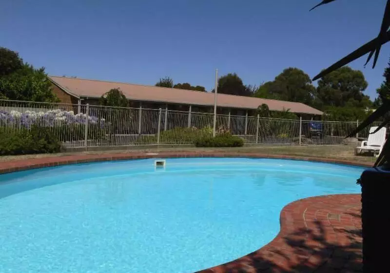 Fotos del hotel Begonia City Motor Inn:  4