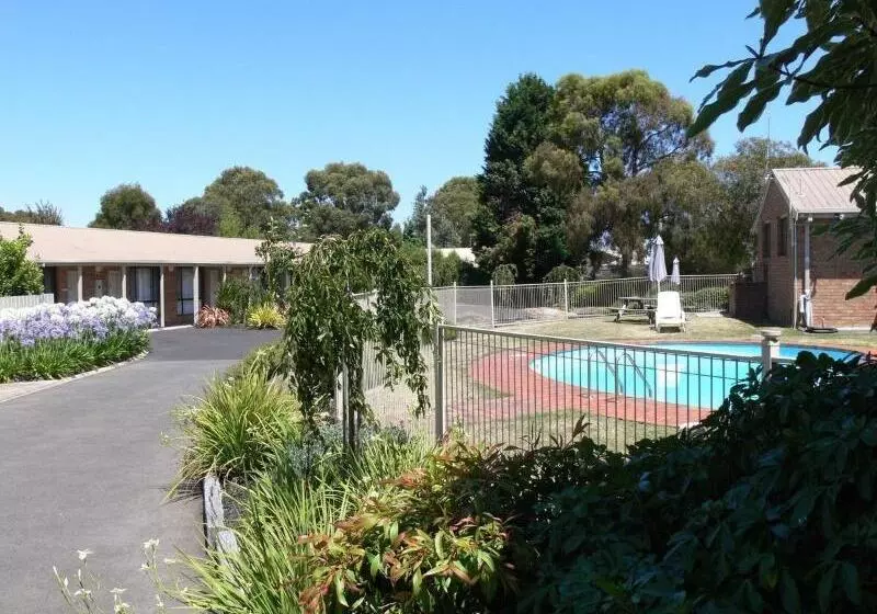 Fotos del hotel Begonia City Motor Inn:  2