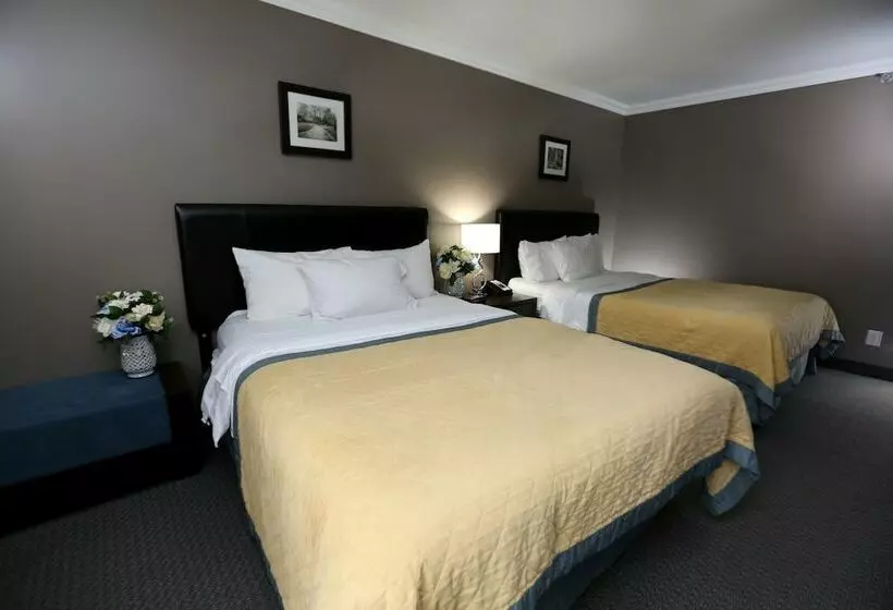 Fotos del hotel Edward  North York:  8