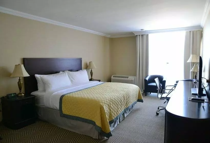 Fotos del hotel Edward  North York:  4