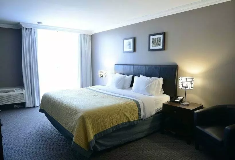 Fotos del hotel Edward  North York:  10