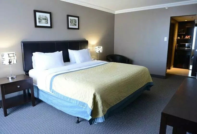 Fotos del hotel Edward  North York:  12