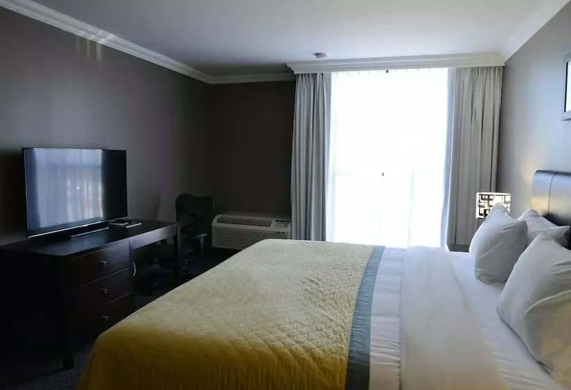 Fotos del hotel Edward  North York:  13