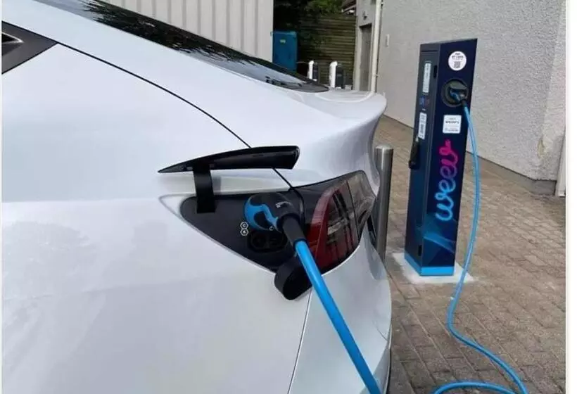 Fotos del hotel Beechlawn:  10