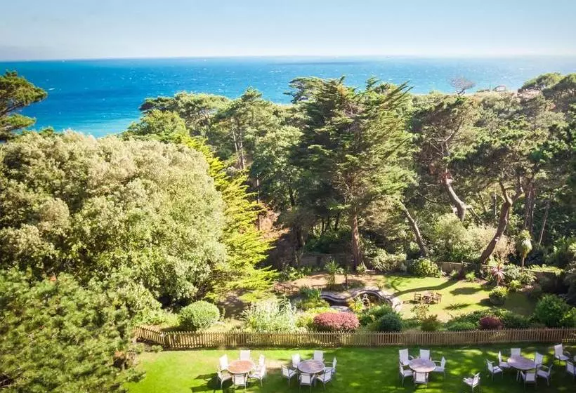 Fotos del hotel Chine:  14