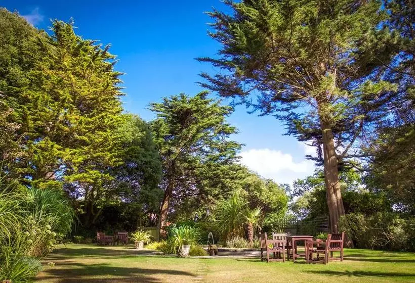 Fotos del hotel Chine:  15