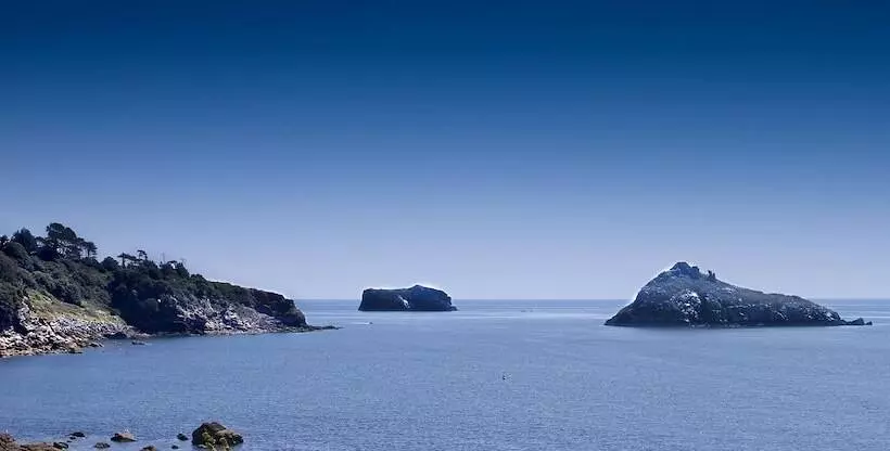 Fotos del hotel The Osborne:  13