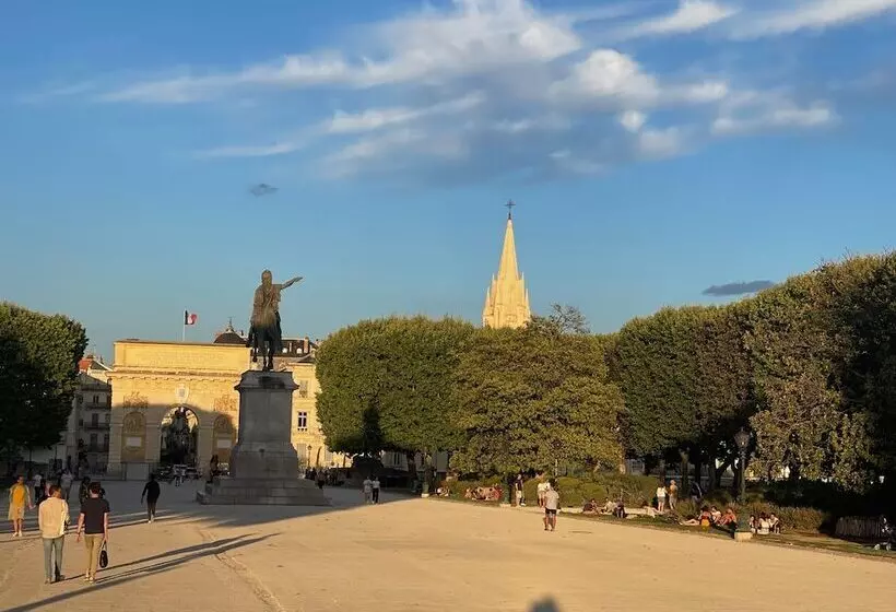 Fotos del hotel Ulysse Montpellier Centre:  9