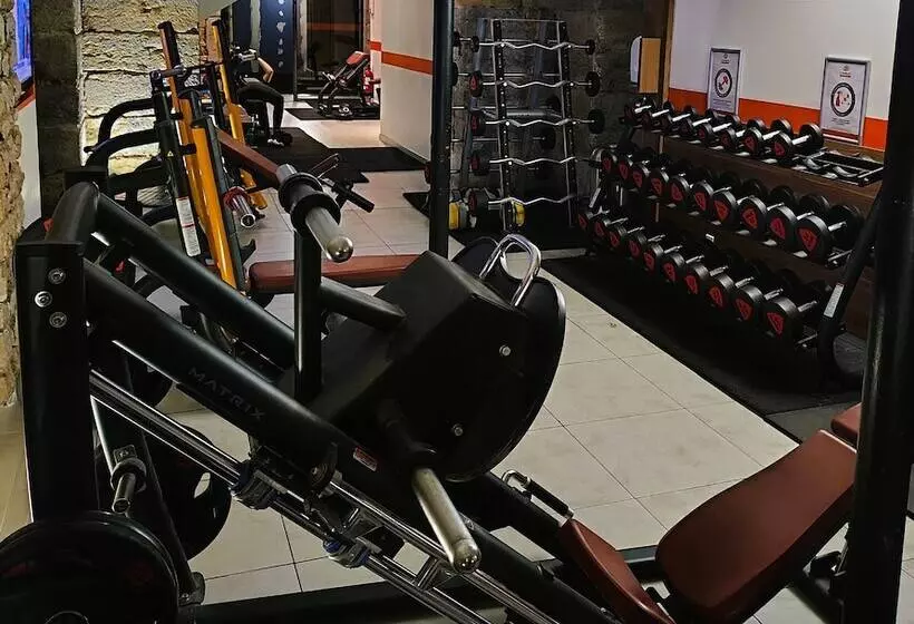 Fotos del hotel Hôtel Le Roosevelt:  2