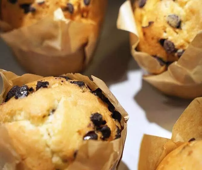 Fotos del hotel Hôtel Le Roosevelt:  8