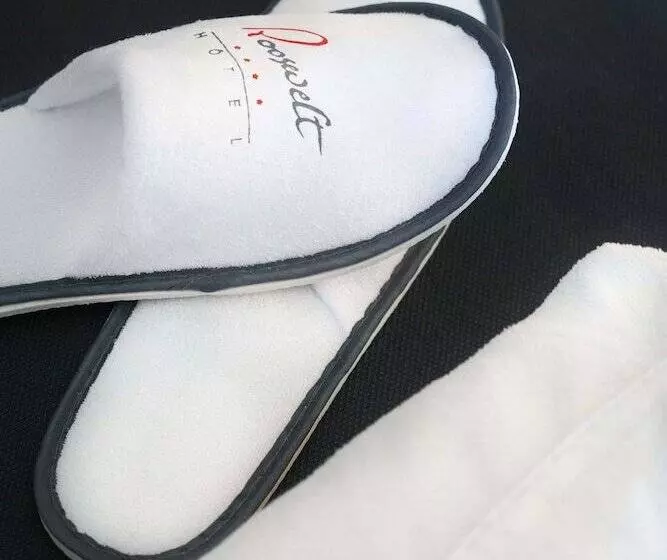 Fotos del hotel Hôtel Le Roosevelt:  6