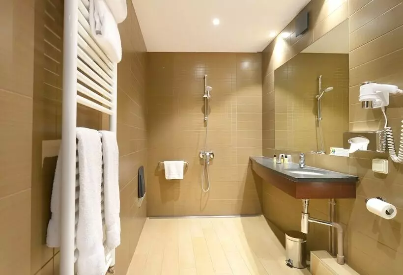 Fotos del hotel Hôtel Le Roosevelt:  9