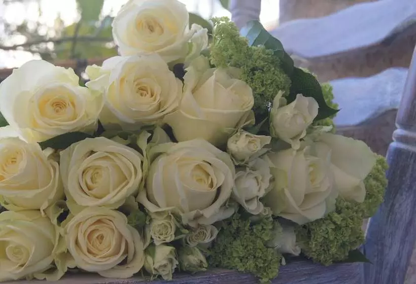 Fotos del hotel Ruc Hôtel Cannes:  6