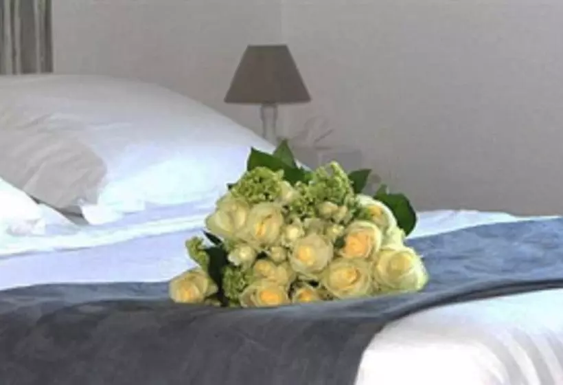 Fotos del hotel Ruc Hôtel Cannes:  17