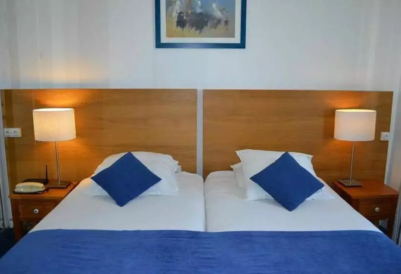 Fotos del hotel Saint Ferréol:  23