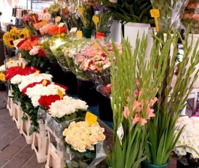 Fotos del hotel Splendid Hotel & Spa Nice:  7