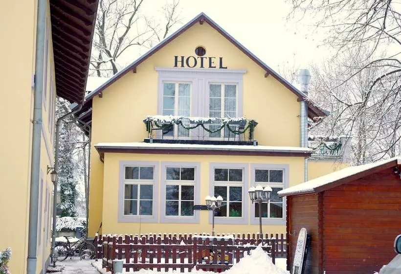 Fotos del hotel Alttolkewitzer Hof:  6