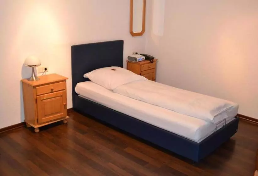 Fotos del hotel Domino:  14