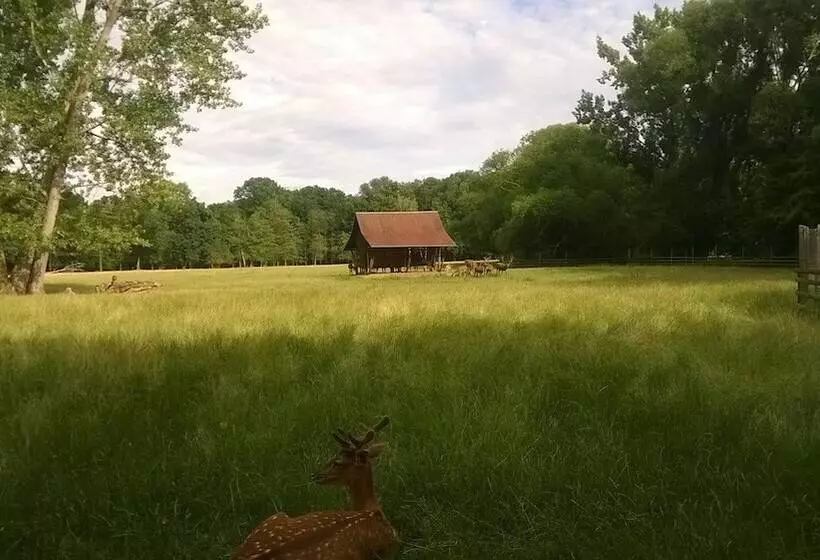 Fotos del hotel Markgraf Leipzig:  21