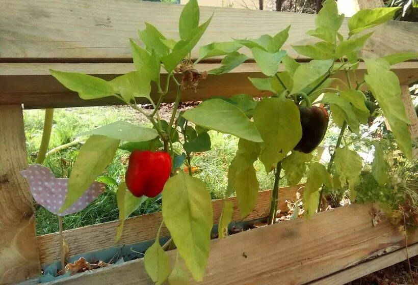 Fotos del hotel Markgraf Leipzig:  12