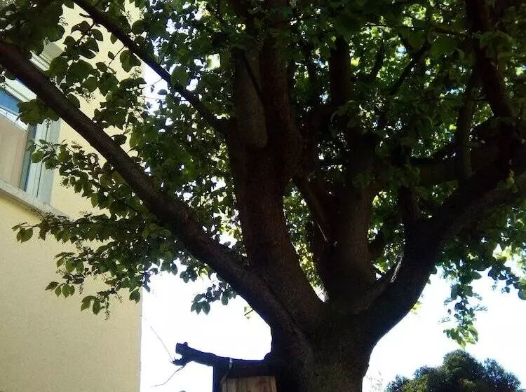 Fotos del hotel Markgraf Leipzig:  23