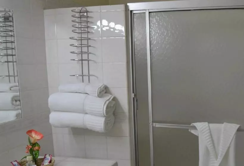 Fotos del hotel Excelsior:  16