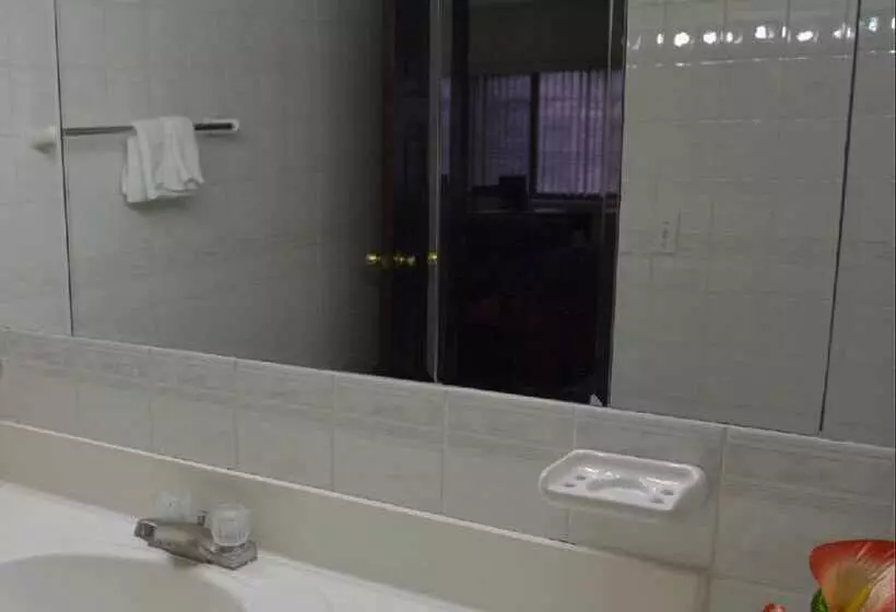 Fotos del hotel Excelsior:  10