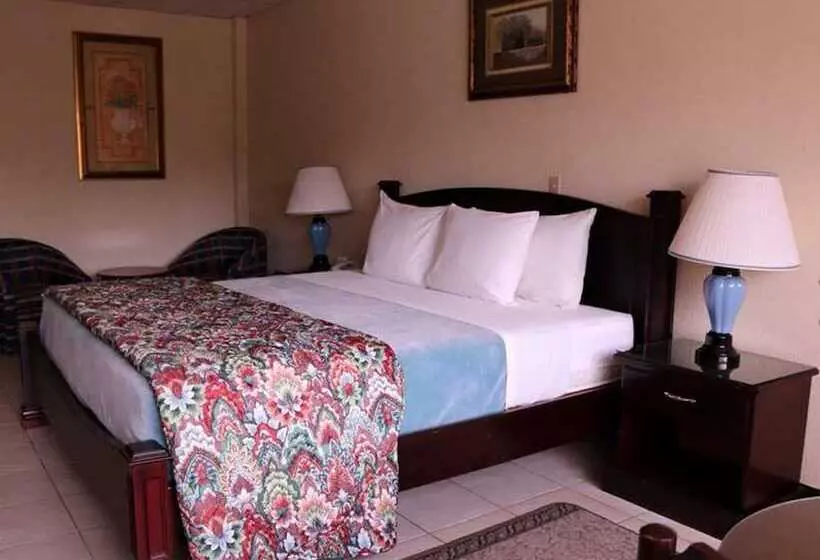 Fotos del hotel Excelsior:  17