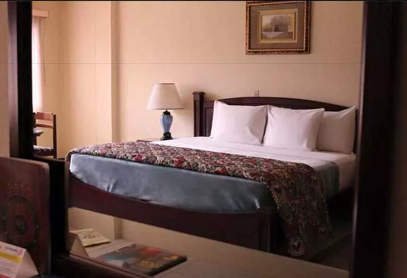 Fotos del hotel Excelsior:  2