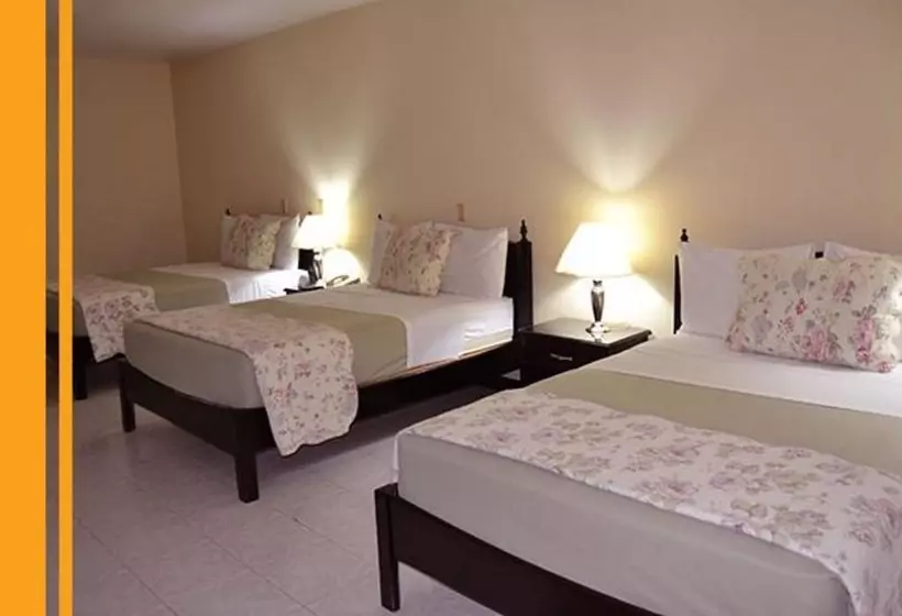 Fotos del hotel Excelsior:  23