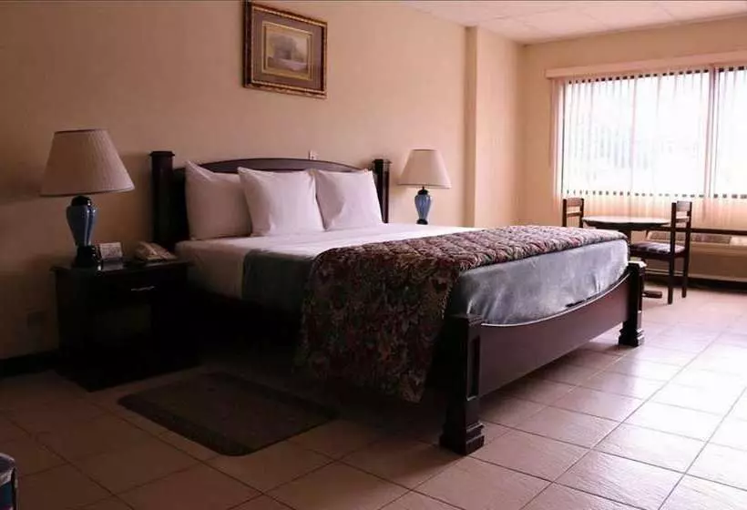 Fotos del hotel Excelsior:  21