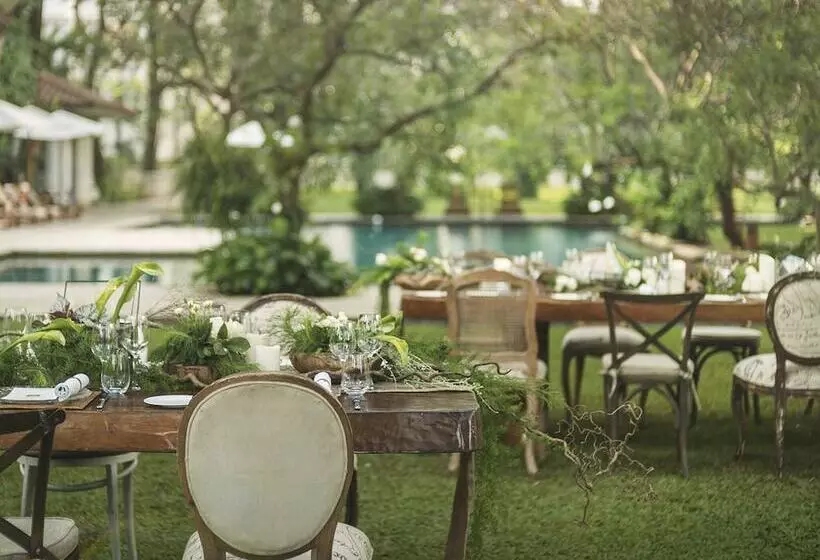 Fotos del hotel The Dharmawangsa Jakarta:  22