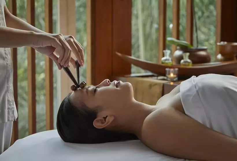 Fotos del hotel The Dharmawangsa Jakarta:  10