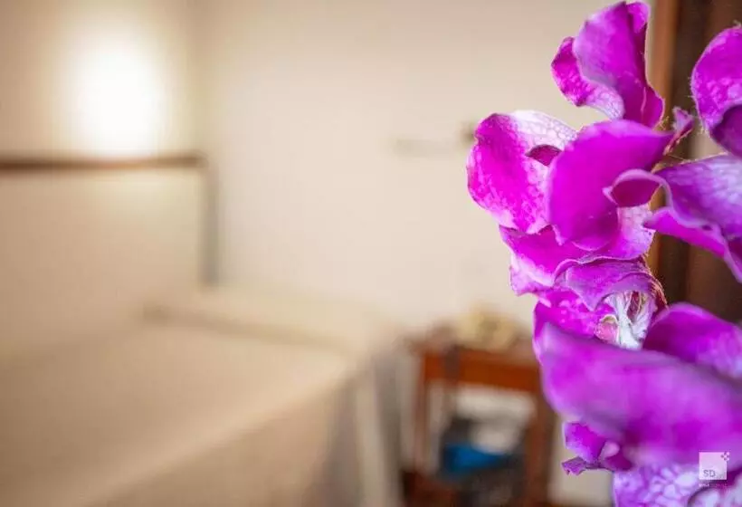 Fotos del hotel Blumen:  25