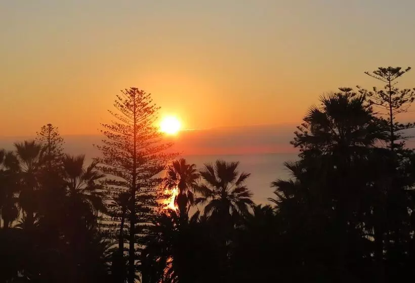 Fotos del hotel Paradiso:  20