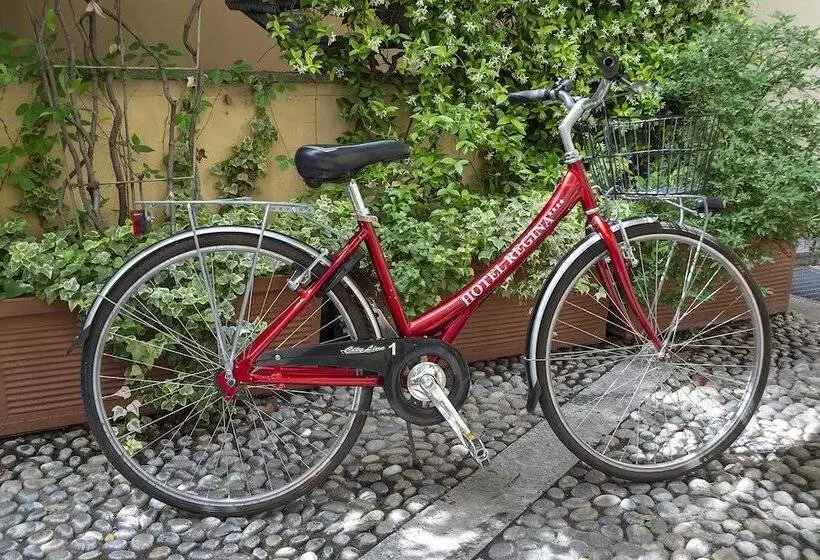 Fotos del hotel Regina:  6