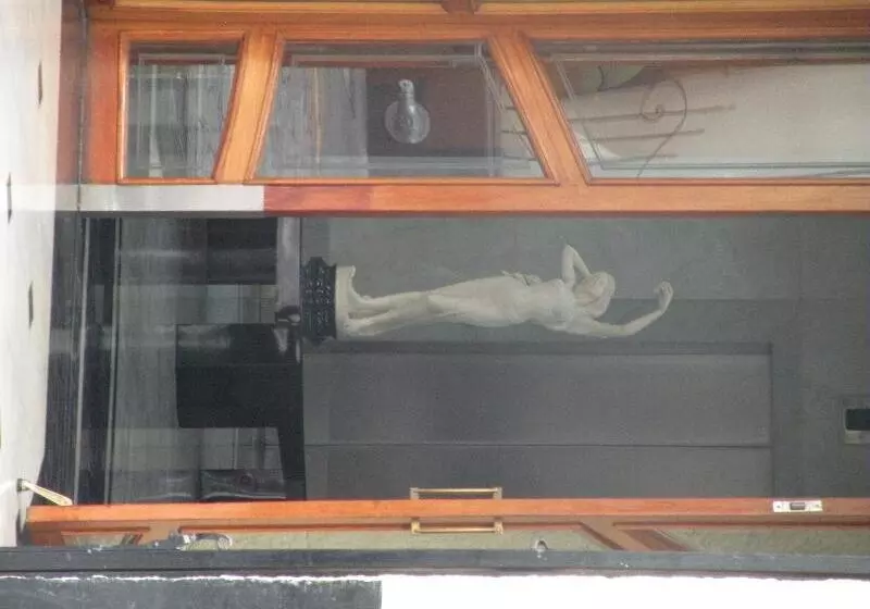 Fotos del hotel Aristos Puebla:  7