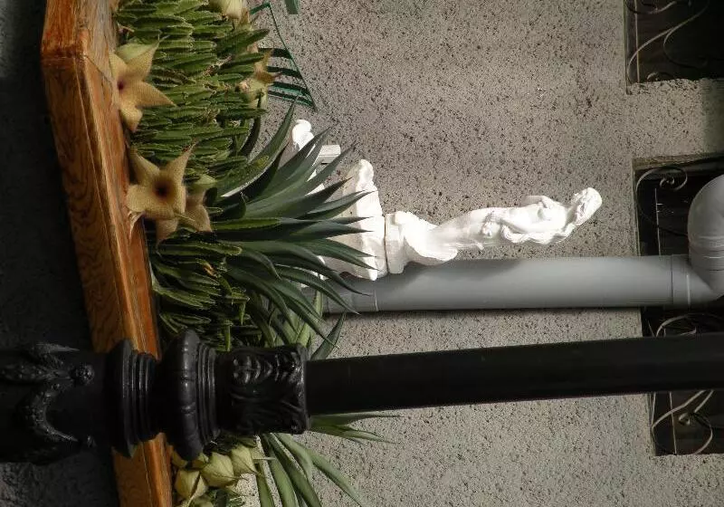 Fotos del hotel Aristos Puebla:  21