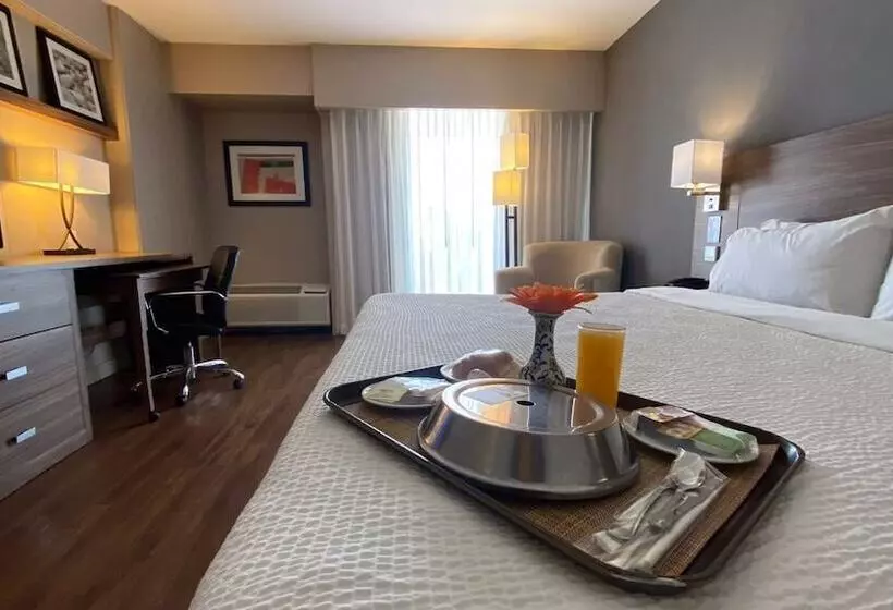 Fotos del hotel Courtyard By Marriott Puebla Las Animas:  18