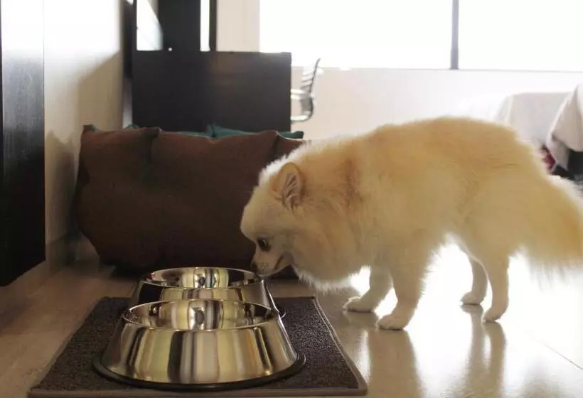 Fotos del hotel Holiday Inn Mexico Dali Airport, An Ihg:  11