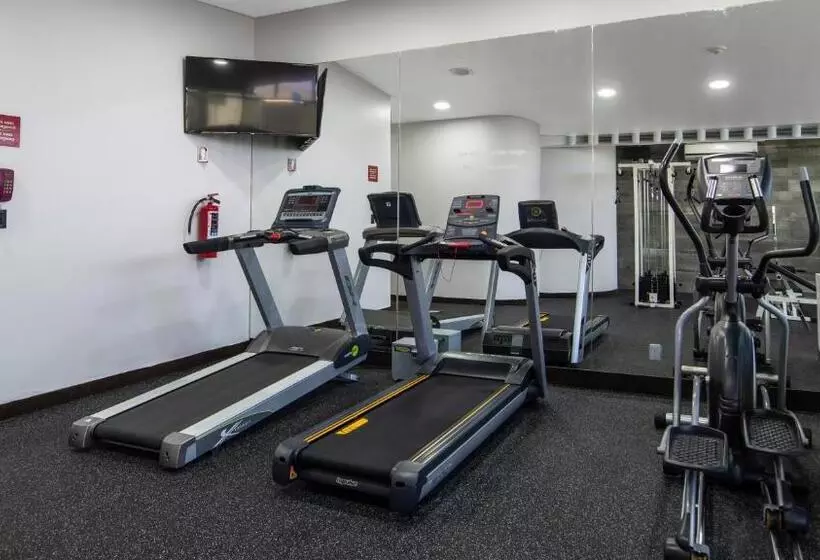 Fotos del hotel Holiday Inn Mexico Dali Airport, An Ihg:  15