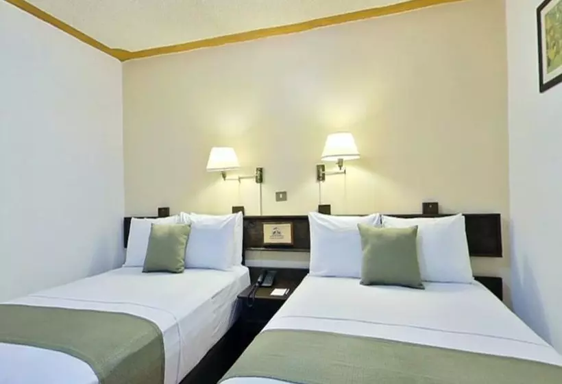 Fotos del hotel Mision Xalapa Plaza De Las Convenciones:  9