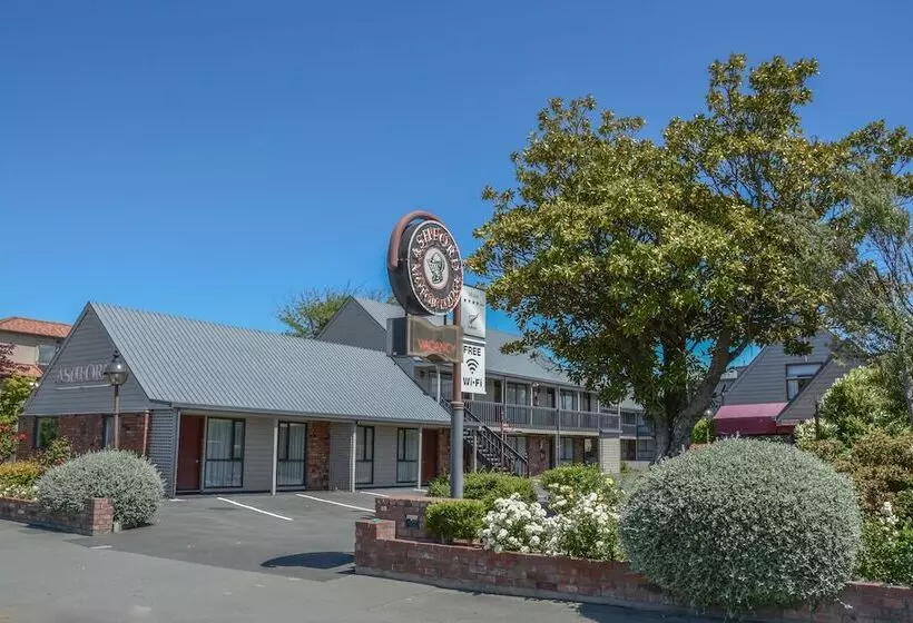 Fotos del hotel Ashford Motor Lodge:  22